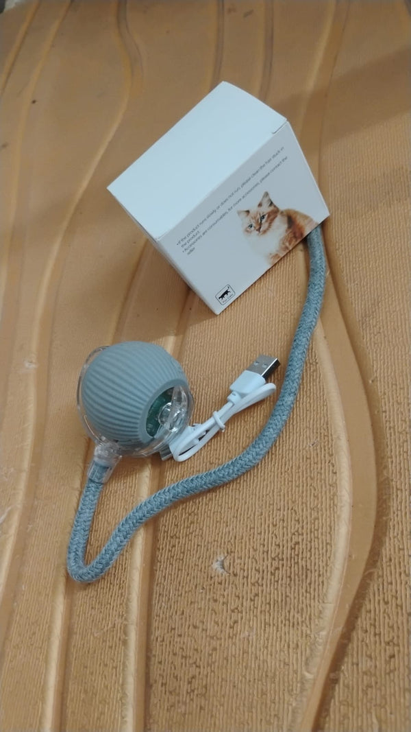 Rechargeable Interactive Cat Toy Ball with Detachable Braided Tail and LED Light (1 Pc)
